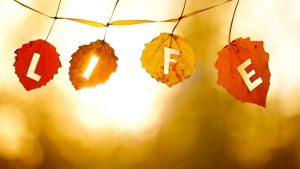 心理學如何幫助了我：享受美好人生的八堂生活課 心得分享