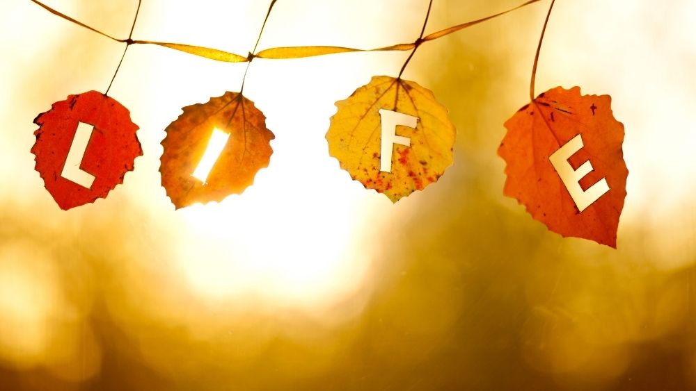 心理學如何幫助了我：享受美好人生的八堂生活課 心得分享