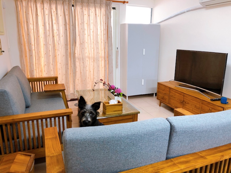 【體驗文】台中花藝設計鮮花客製 婕琳花藝花束送禮不踩雷 3 客廳擺上婕琳花藝客製化的花