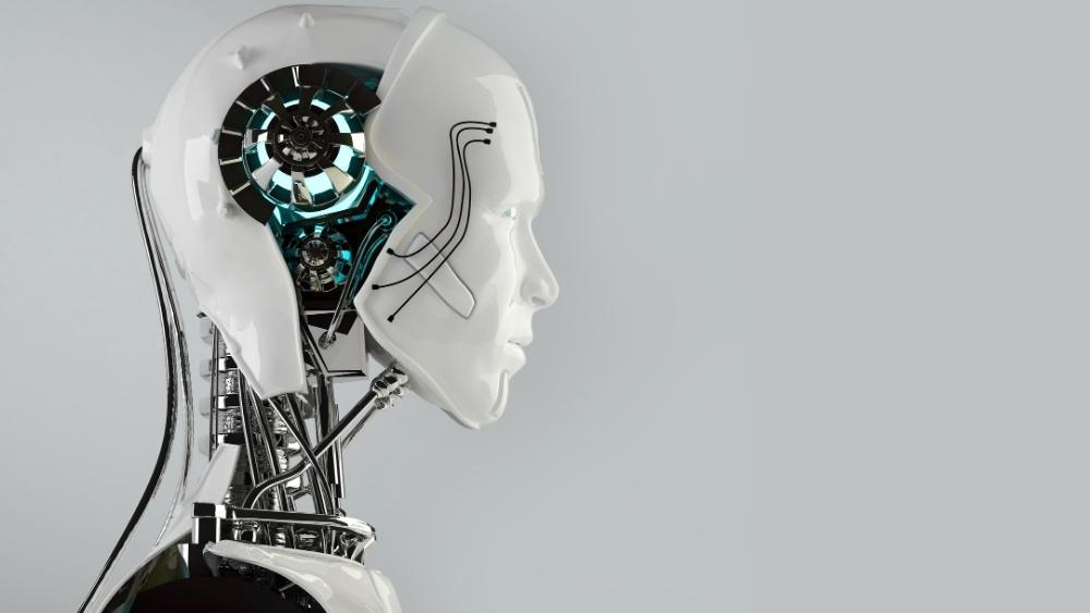 二十一心得分享