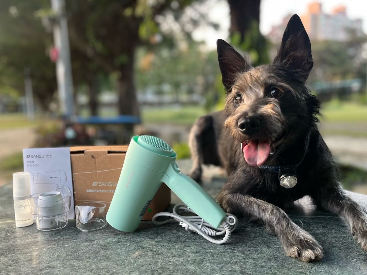 SANSUI山水修護離子膠原蛋白吹風機SDD-1000封面照