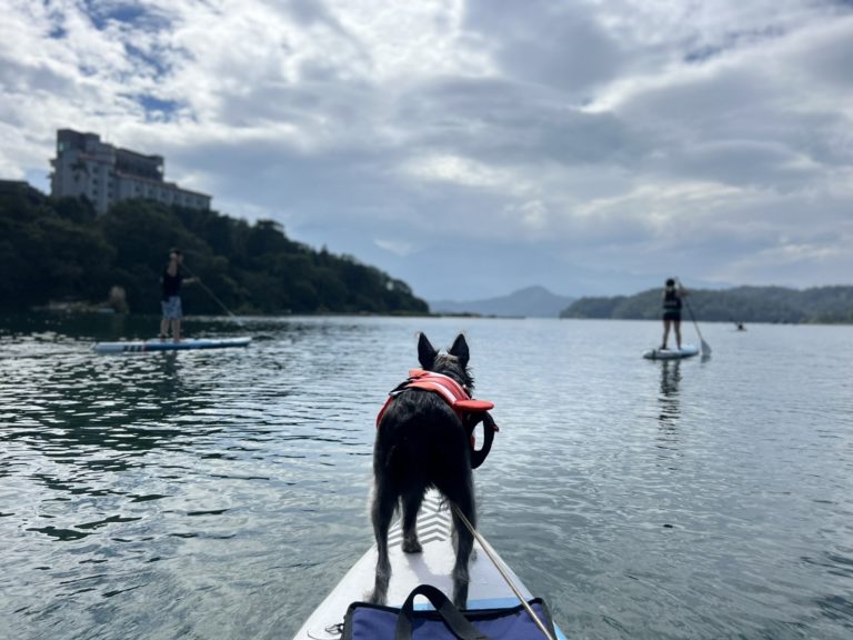 寵物友善日月潭SUP立槳體驗