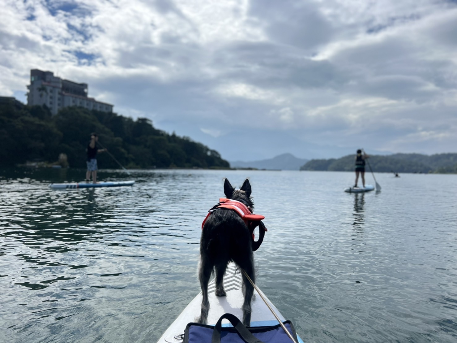 寵物友善日月潭SUP立槳體驗